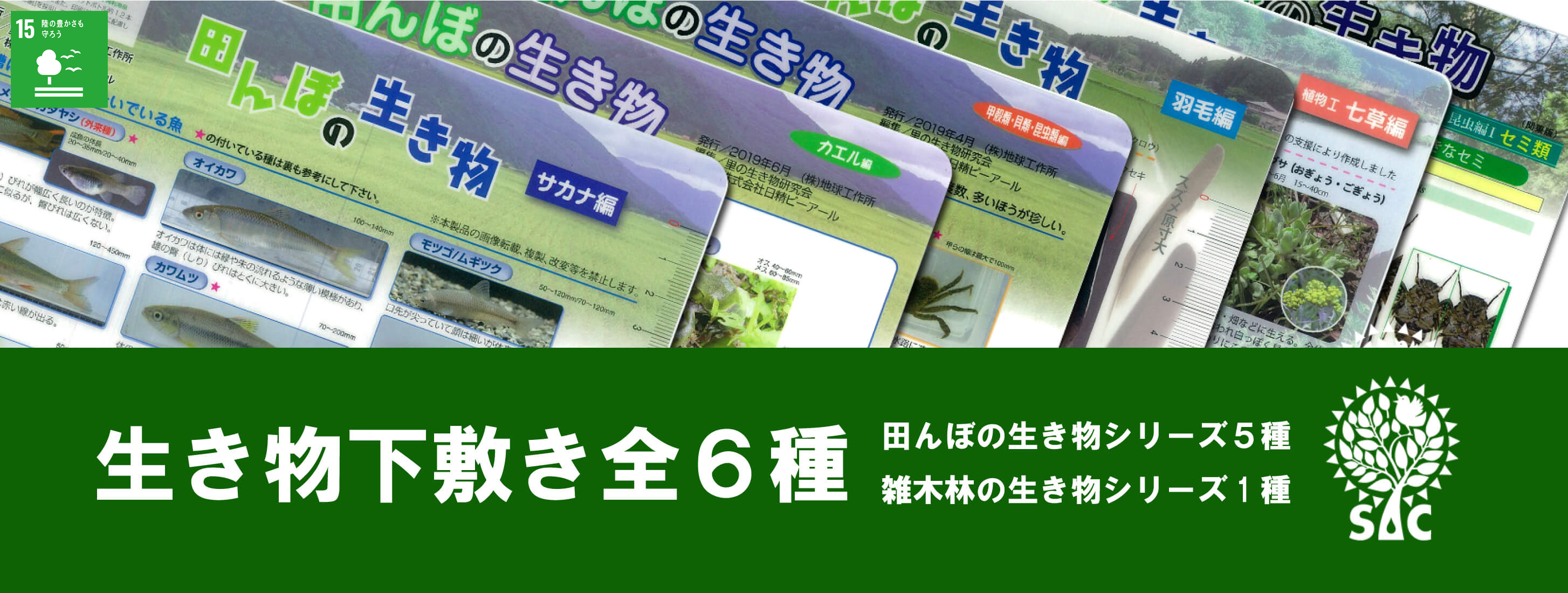 生き物下敷き全6種